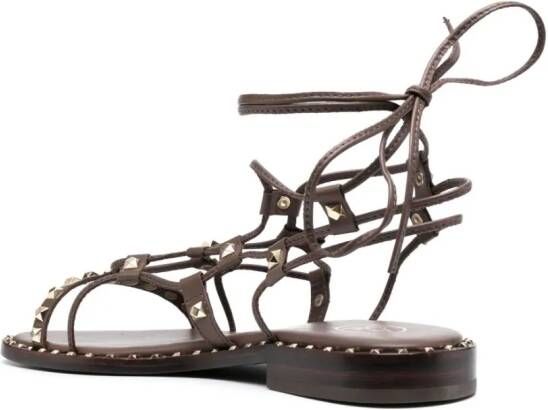 Ash Paloma lace-up leather sandals Brown