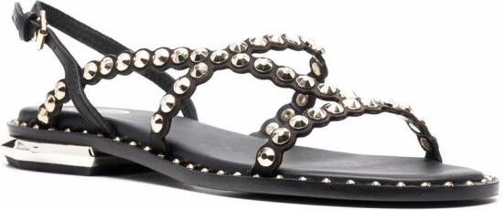 Ash Paolo studded leather sandals Black