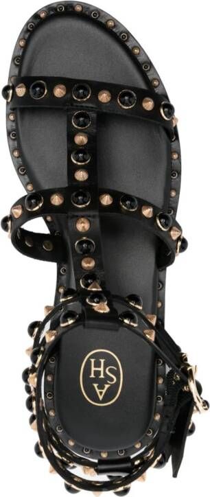 Ash Passion stud-detailing sandals Black