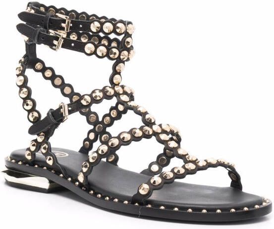 Ash Penny stud-embellishment sandals Black