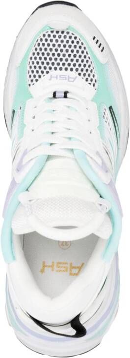 Ash Race lace-up sneakers White