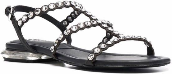 Ash Saphiro studded sandals Black