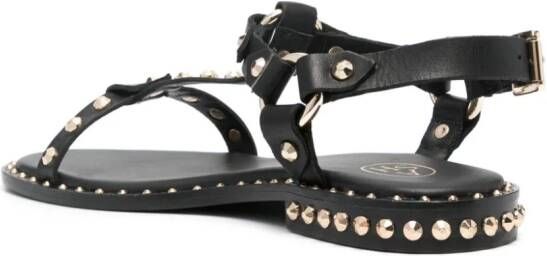 Ash stud-embellished leather sandals Black
