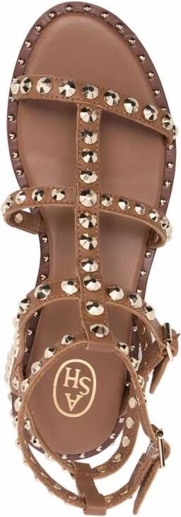 Ash studded ankle-length sandals Brown