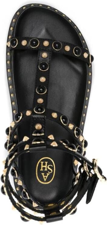 Ash Upup studded leather sandals Black
