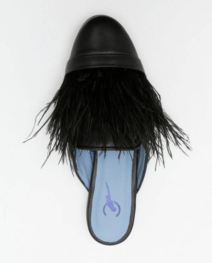 Blue Bird Shoes feather-trim detail slippers Black
