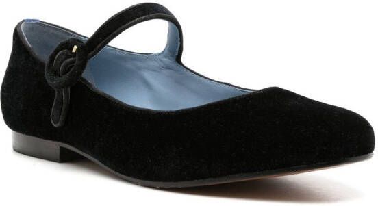 Blue Bird Shoes velvet ballerina flats Black