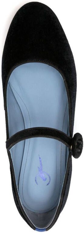 Blue Bird Shoes velvet ballerina flats Black