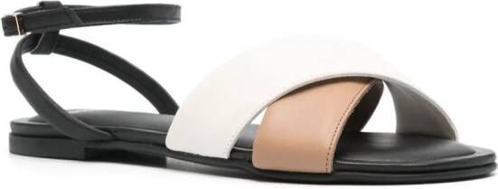 BOSS colourblock flat sandals Black