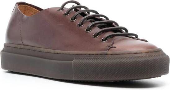 Buttero Tanino low-top sneakers Brown