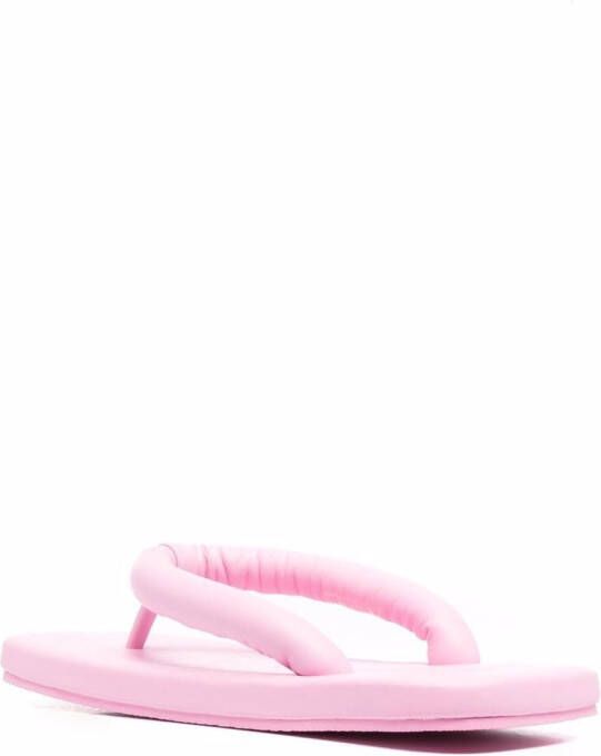 CamperLab puffy strap flip flops Pink