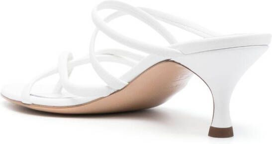 Casadei 50mm Lucrezia thong mules White