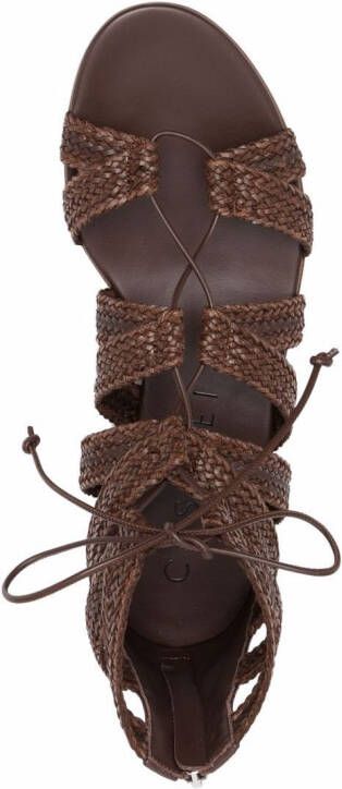 Casadei caged lace-up sandals Brown
