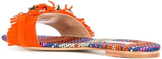 Casadei fringed strap daytime sandals Multicolour