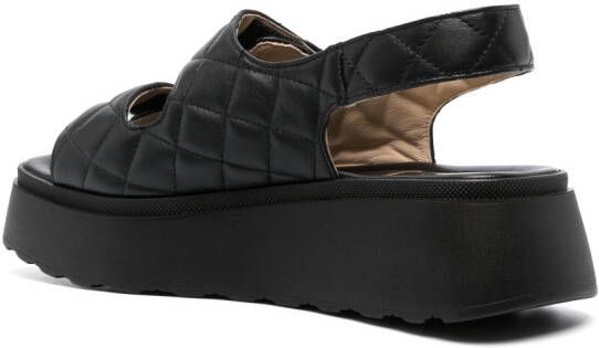 Casadei quilted flat sandals Black