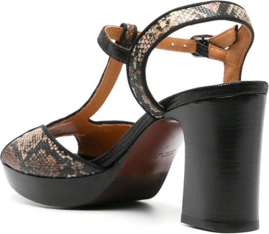 Chie Mihara Keduni 70mm snake-print sandals Black