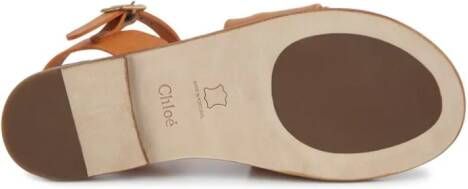 Chloé Kids logo-embroidered leather sandals Brown