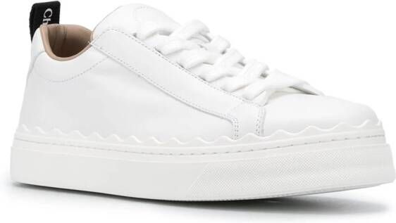Chloé Lauren low-top sneakers White