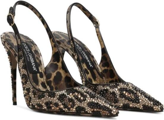 Dolce & Gabbana 105mm leopard-print leather pumps Brown