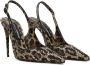 Dolce & Gabbana 105mm leopard-print leather pumps Brown - Thumbnail 2