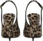 Dolce & Gabbana 105mm leopard-print leather pumps Brown - Thumbnail 3