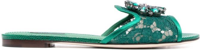 Dolce & Gabbana Rainbow Lace brooch-detail sandals Green