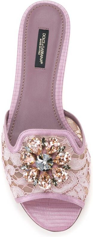 Dolce & Gabbana Rainbow Lace brooch-detail sandals Pink