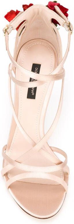 Dolce & Gabbana climbing rose sandals Pink