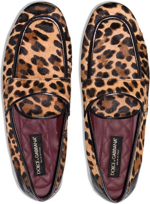 Dolce & Gabbana Erice leopard print loafers Brown