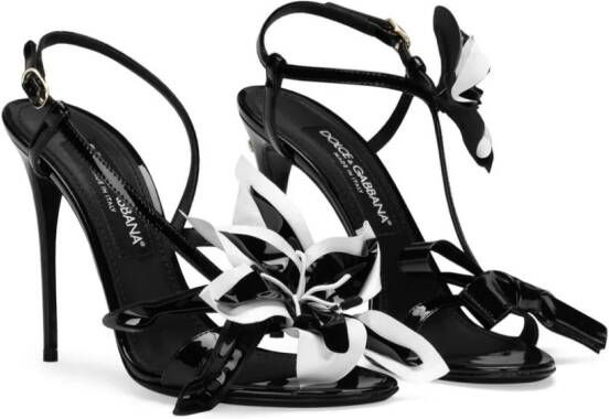Dolce & Gabbana floral-appliqué leather stiletto sandals Black