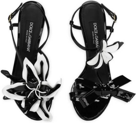 Dolce & Gabbana floral-appliqué leather stiletto sandals Black