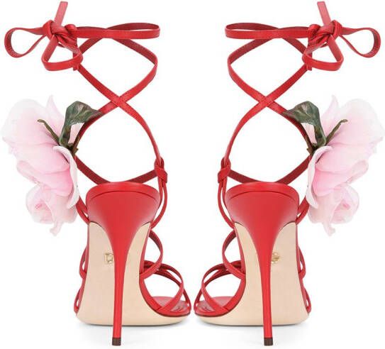 Dolce & Gabbana floral-motif sandals Red