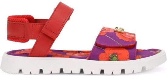 Dolce & Gabbana Kids floral-print touch-strap sandals Red
