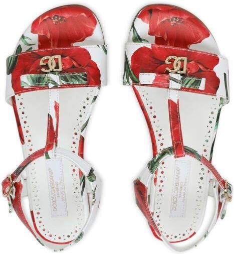 Dolce & Gabbana Kids logo-plaque poppy-print sandals Red