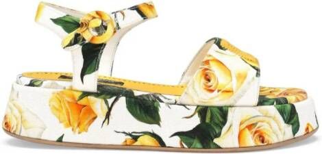 Dolce & Gabbana Kids rose-print cotton sandals White
