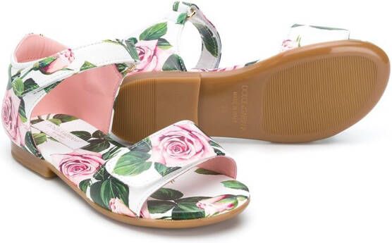 Dolce & Gabbana Kids roses print touch strap sandals White