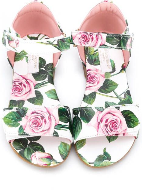 Dolce & Gabbana Kids roses print touch strap sandals White