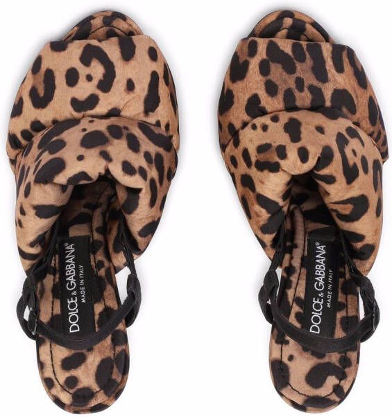 Dolce & Gabbana leopard-print open-toe sandals Brown