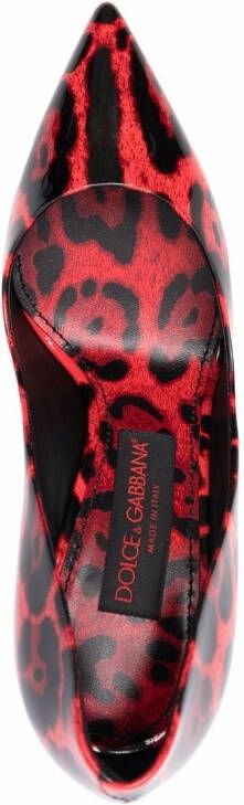 Dolce & Gabbana leopard-print pumps Black