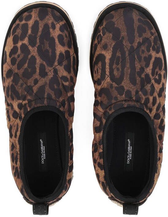 Dolce & Gabbana leopard-print slippers Brown