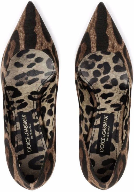 Dolce & Gabbana leopard-print stiletto pumps Brown