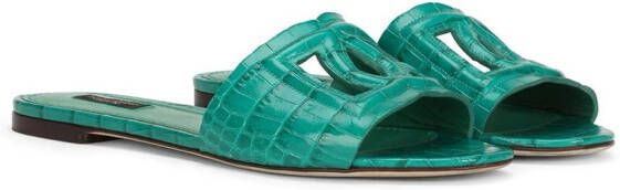 Dolce & Gabbana DG Millenials leather sandals Green