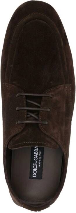 Dolce & Gabbana logo-plaque suede derby shoes Brown