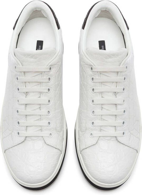 Dolce & Gabbana Roma crocodile leather sneakers White
