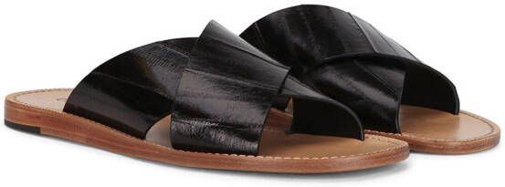 Dolce & Gabbana Pantheon leather sandals Black