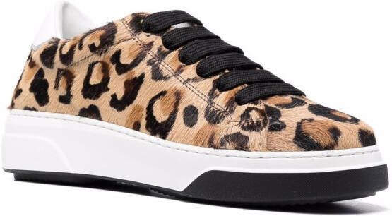 Dsquared2 leopard-print lace-up sneakers Brown