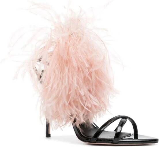 Gedebe Lily 100mm feather sandals Black