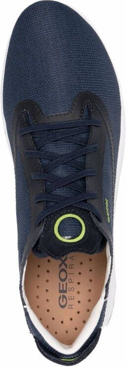 Geox Aerantis low-top sneakers Blue