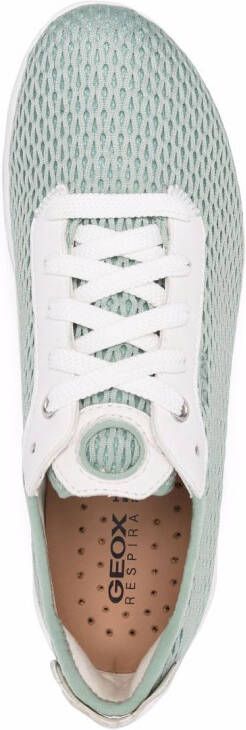 Geox Aerantis mesh lace-up sneakers Green