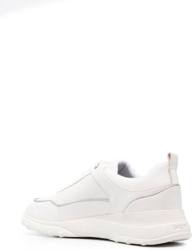 Geox Alleniee leather sneakers White